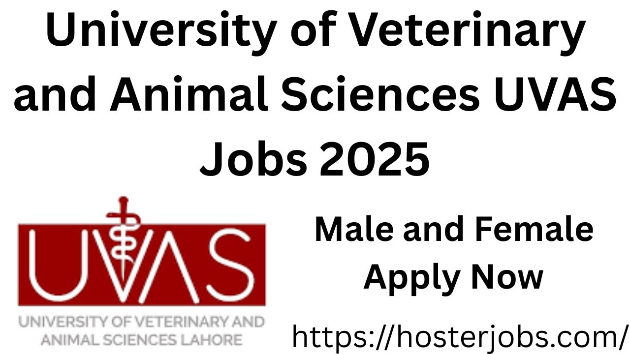 UVAS Jobs 2025