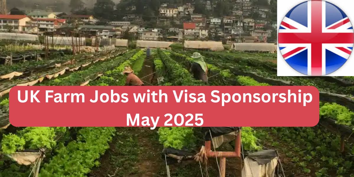 UK Farm Jobs with Visa Sponsorship May 2025: Your Gateway to Working Abroad
