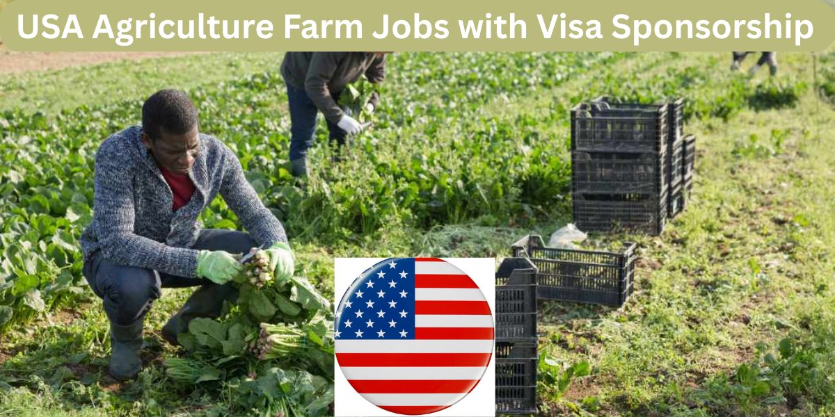 USA Agriculture Farm Jobs with Visa Sponsorship – May 2025