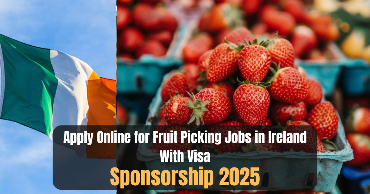Apply Online for Fruit Picking Jobs in Ireland With Visa Sponsorship 2025